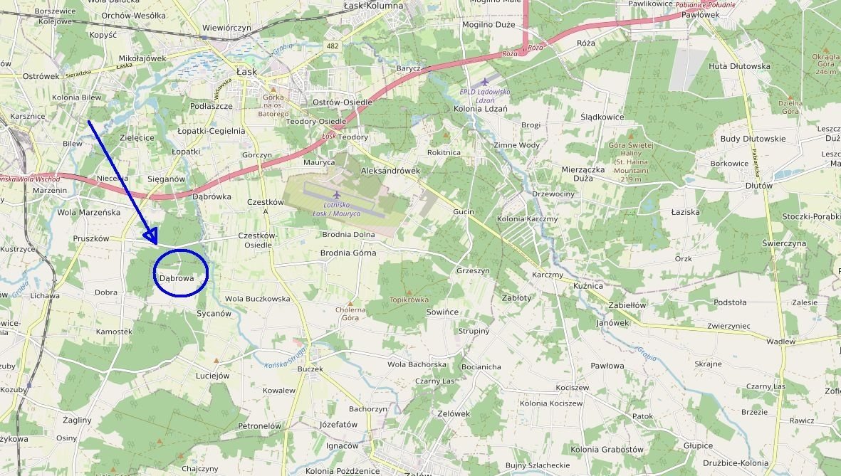 Działka rolna 14 874 m² w Dąbrowie - asfaltowa droga Dąbrowa  14 874m2 Foto 1