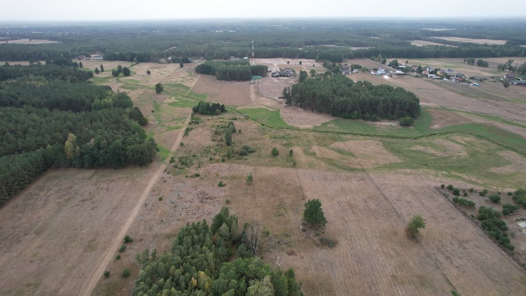 Działka rolna na sprzedaż Olszewka  3 000m2 Foto 6