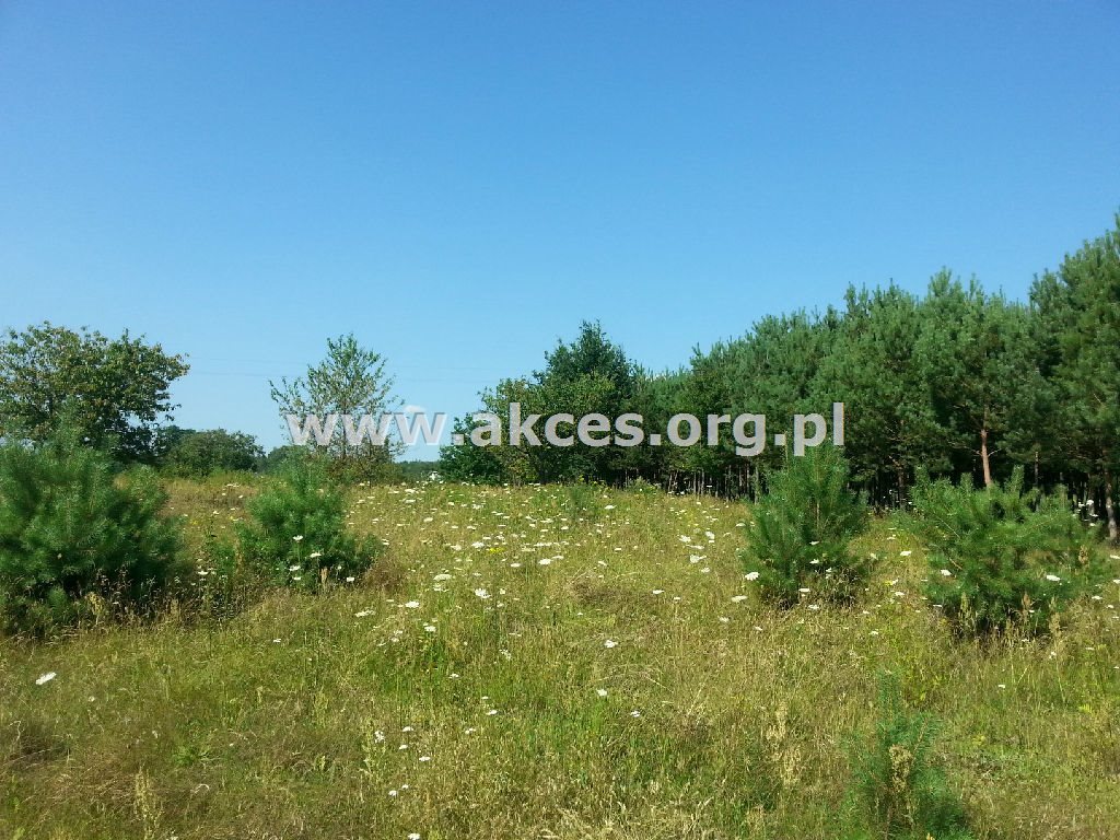 Działka budowlana na sprzedaż Gabryelin 1 000m2 Foto 1 Działka budowlana na sprzedaż Gabryelin 1 000m2 Foto 1