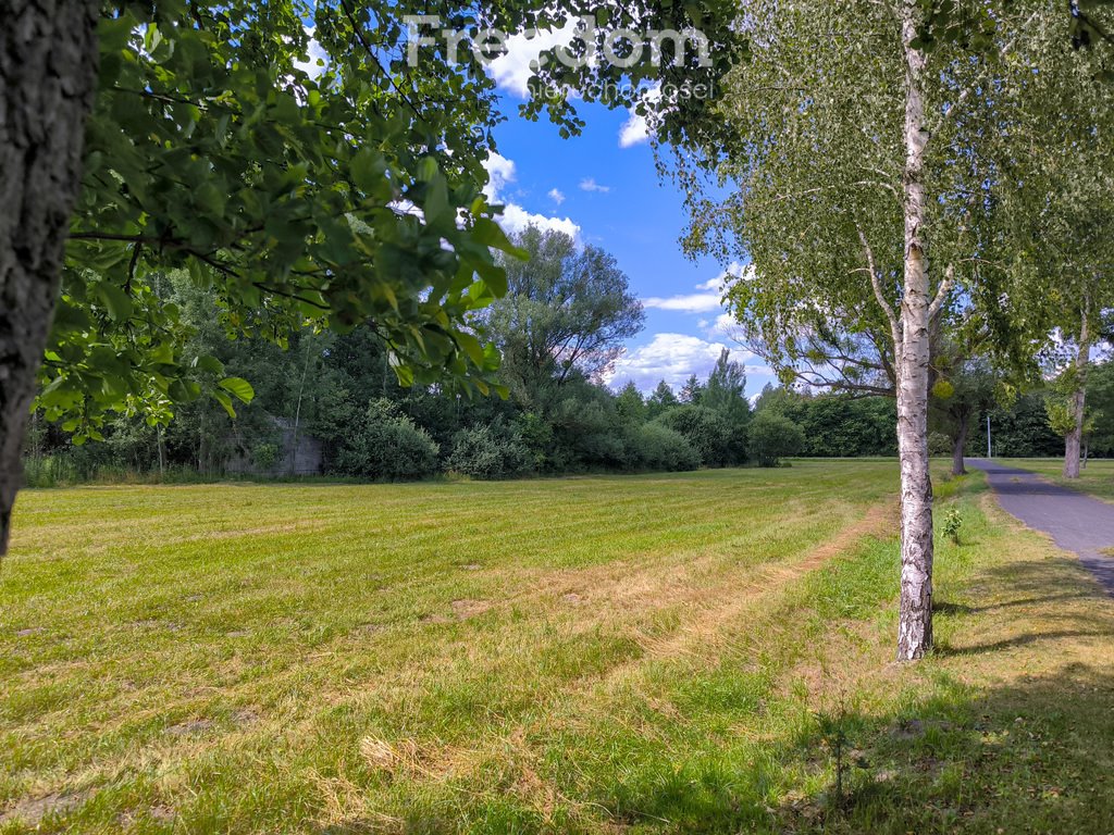 Działka siedliskowa na sprzedaż Bieganów, Poziomkowa  7 000m2 Foto 3