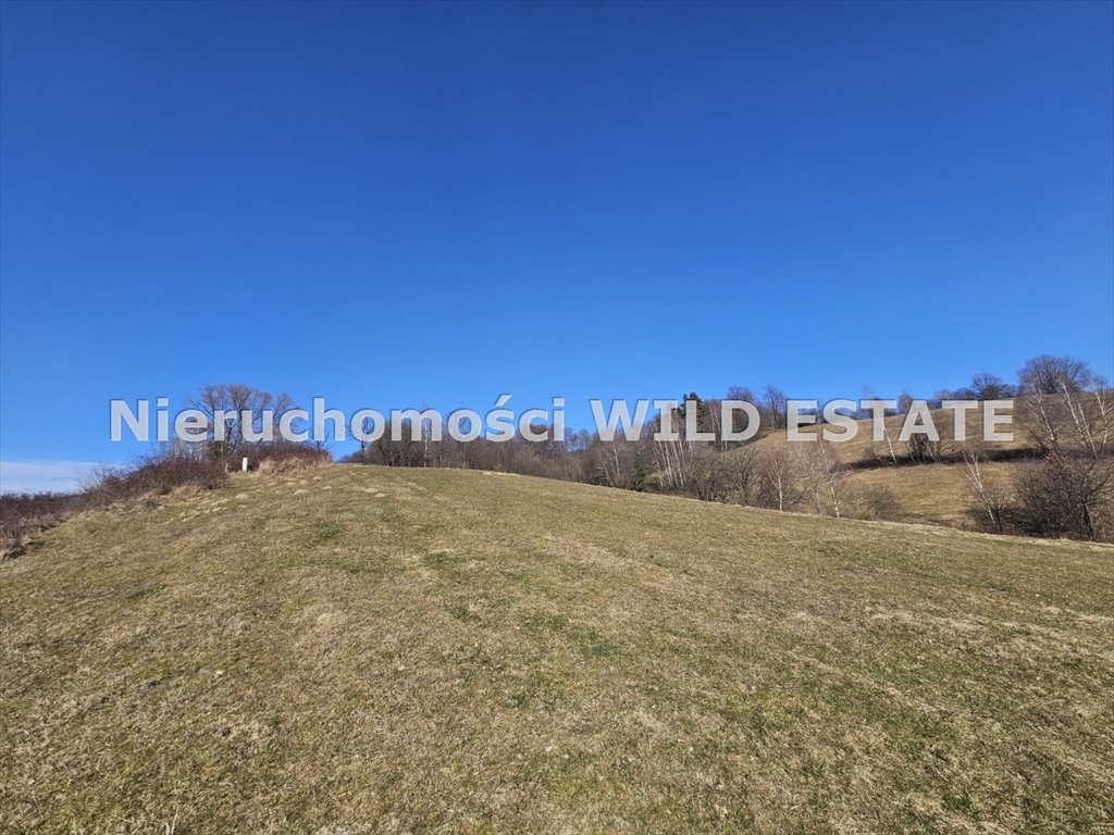 Działka 4 032 m² z warunkami zabudowy, spokój i natura Ustrzyki Dolne, Daszówka  4 032m2 Foto 1