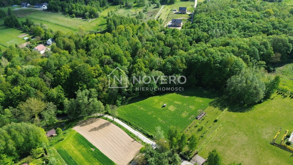 Działka z własnym lasem i pięknymi widokami w Chmielniku Chmielnik  8 240m2 Foto 1