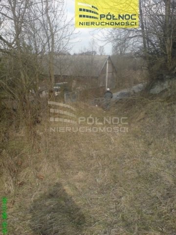 Działka budowlana na sprzedaż Orłów  10 271m2 Foto 12