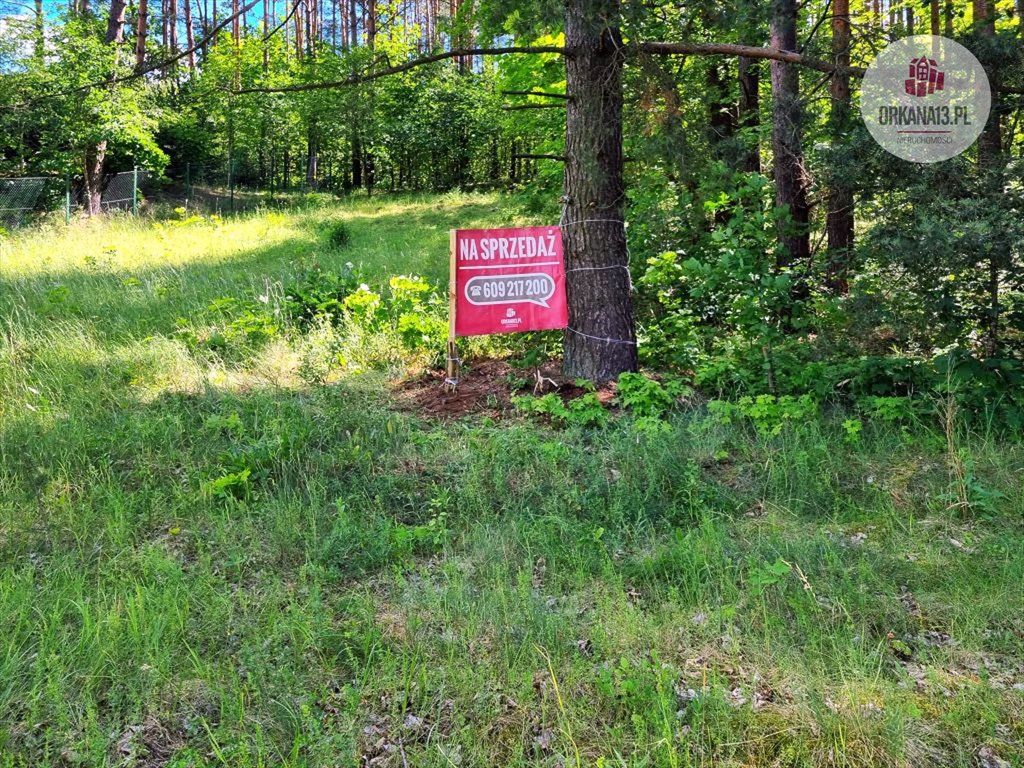 Działka budowlana na sprzedaż Pluski, ul. Pluszna  700m2 Foto 1