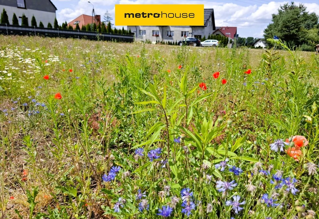 Działka budowlana na sprzedaż Pasikurowice, Wrocławska  995m2 Foto 1