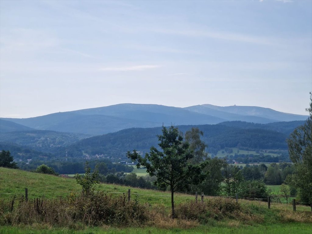 Działka budowlana na sprzedaż Jelenia Góra, Walerego Wróblewskiego  3 445m2 Foto 1