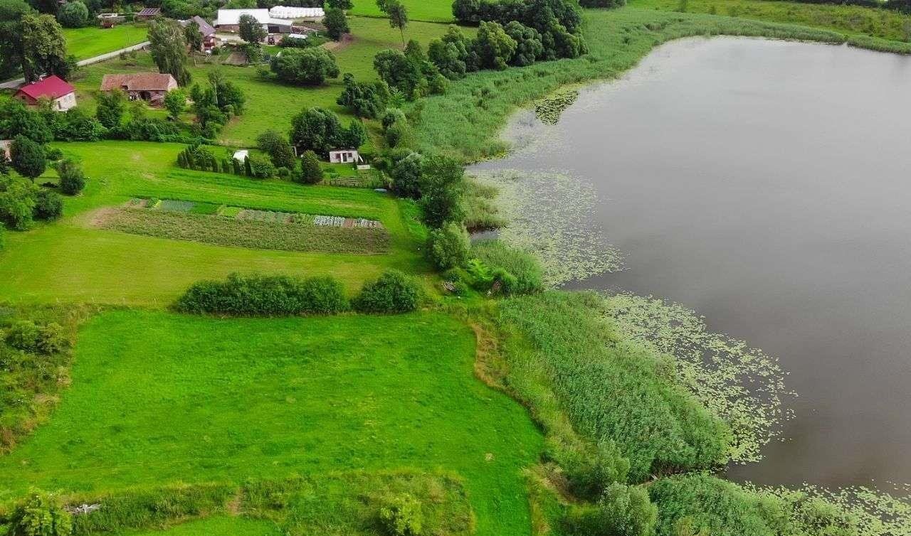 Działka rolna na sprzedaż Długochorzele  3 000m2 Foto 5