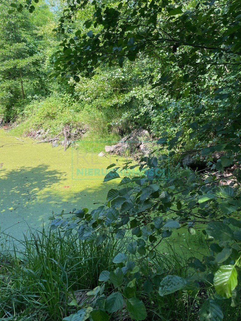 Działka budowlana na sprzedaż Mościska  8 500m2 Foto 11