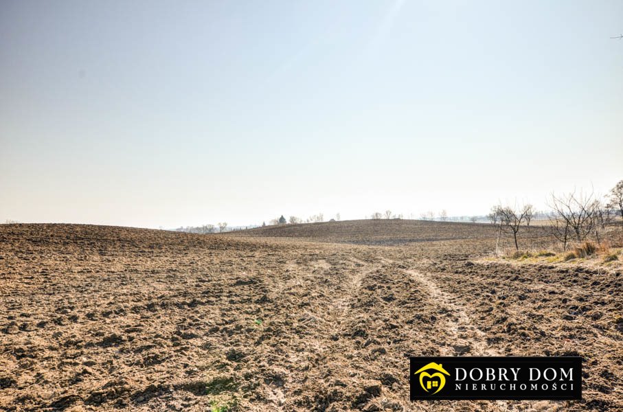 Działka rolna na sprzedaż Wiśniowo Ełckie  3 000m2 Foto 2