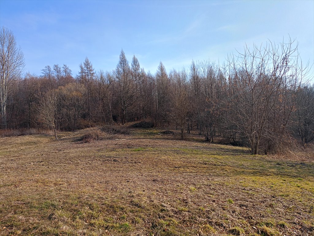 Działka rolna na sprzedaż Zaborów  1 551m2 Foto 1