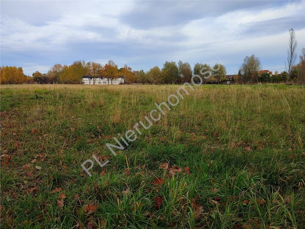 Działka budowlana na sprzedaż Chrzanów Duży  3 585m2 Foto 1