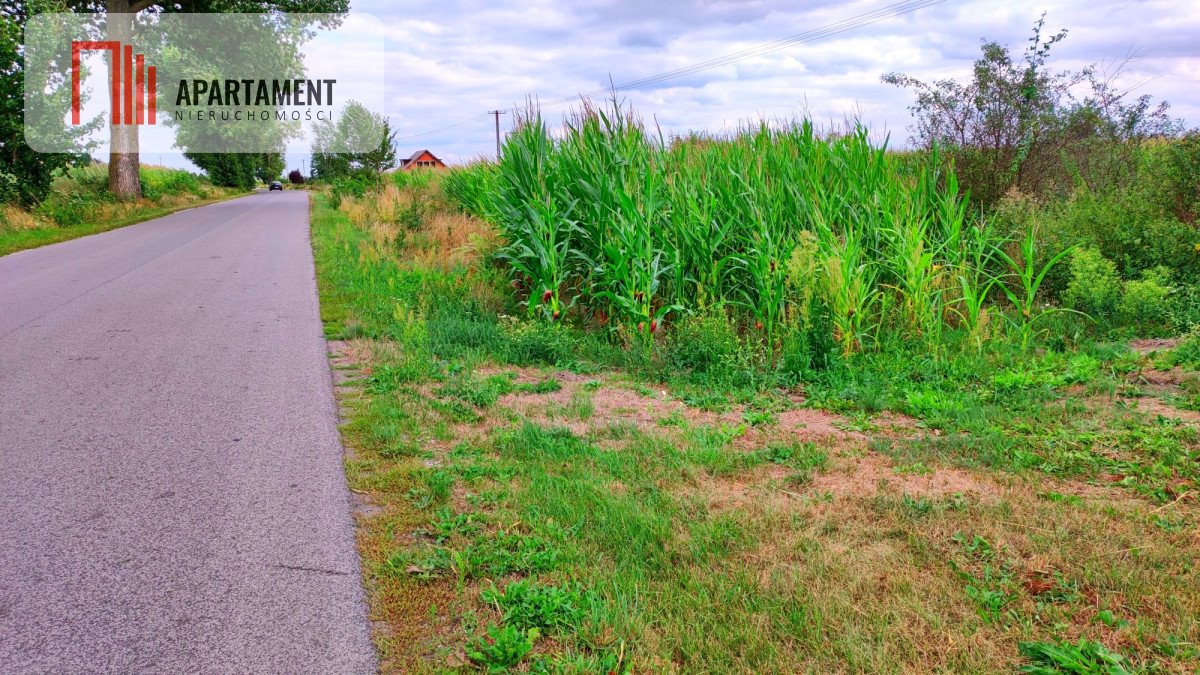 Na sprzedaż działka 3300 m² przy asfaltowej drodze w Będzitówku Będzitówek  3 300m2 Foto 1