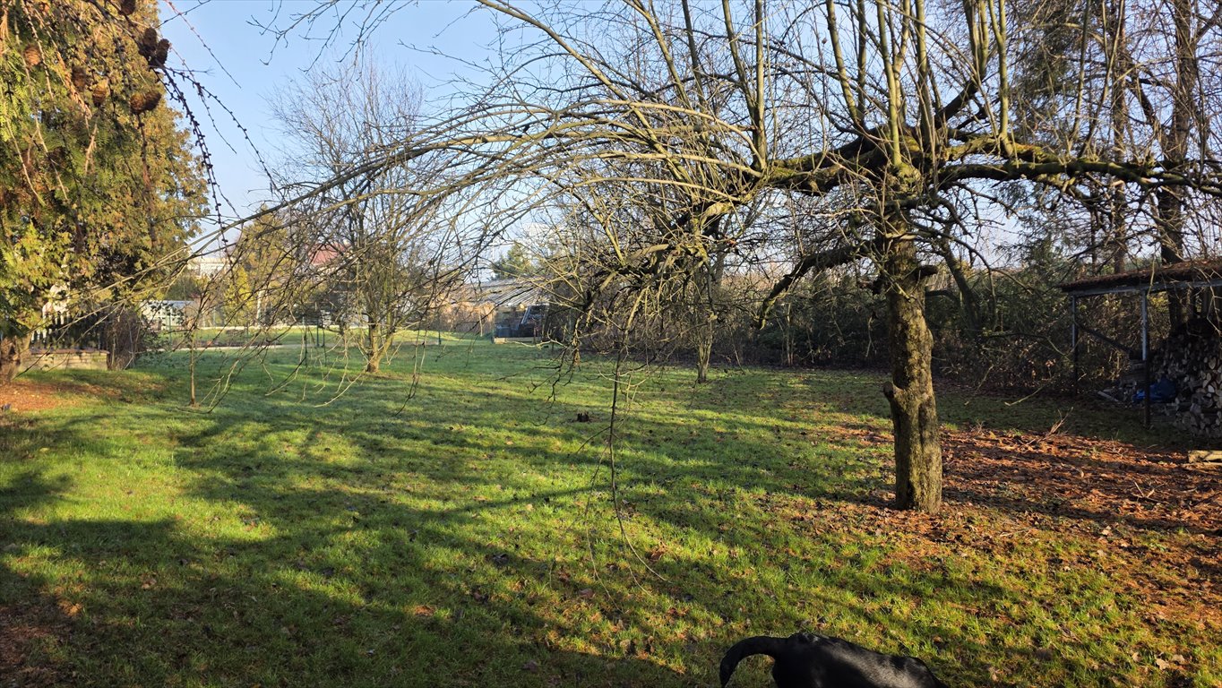 Działka budowlana na sprzedaż Pszczyna, Narcyzów  1 200m2 Foto 1