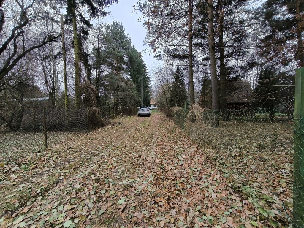 Działka rekreacyjna na sprzedaż Borkowo, Rzeczna  2 302m2 Foto 6