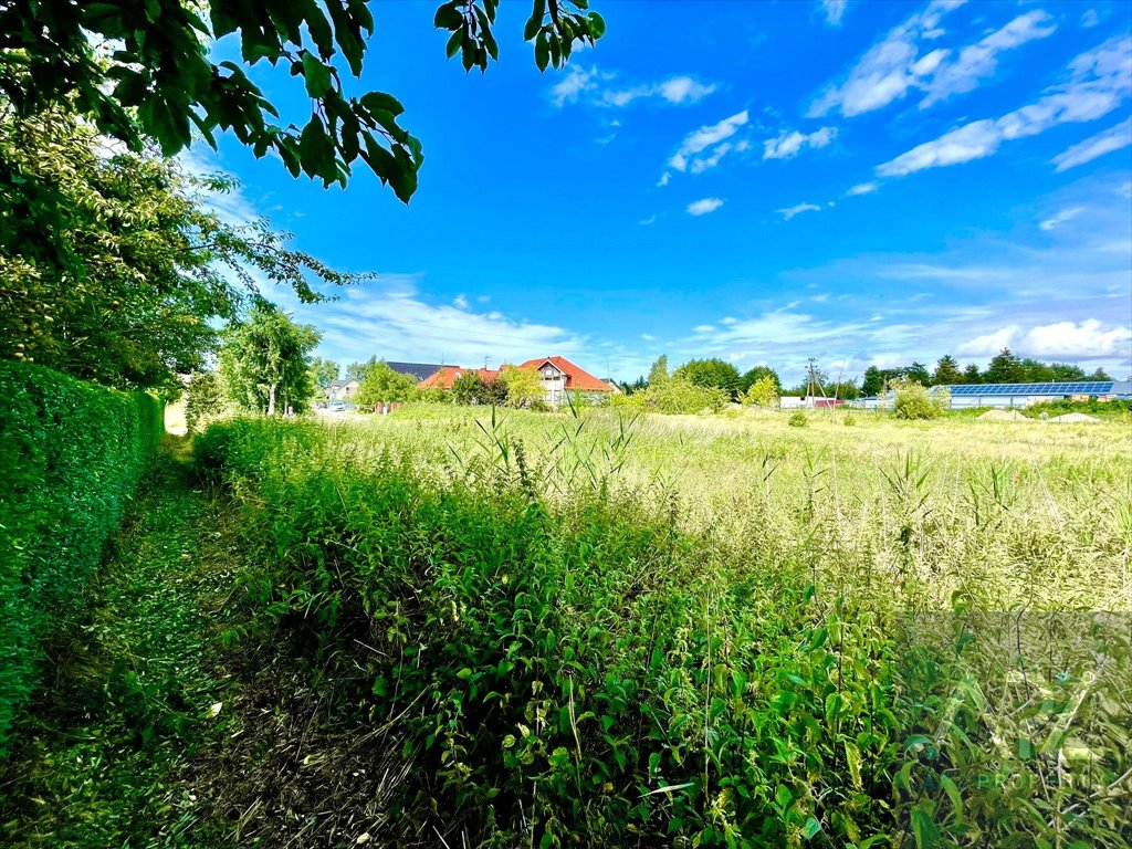 Działka budowlana na sprzedaż Grzybowo, Towarowa  1 721m2 Foto 6