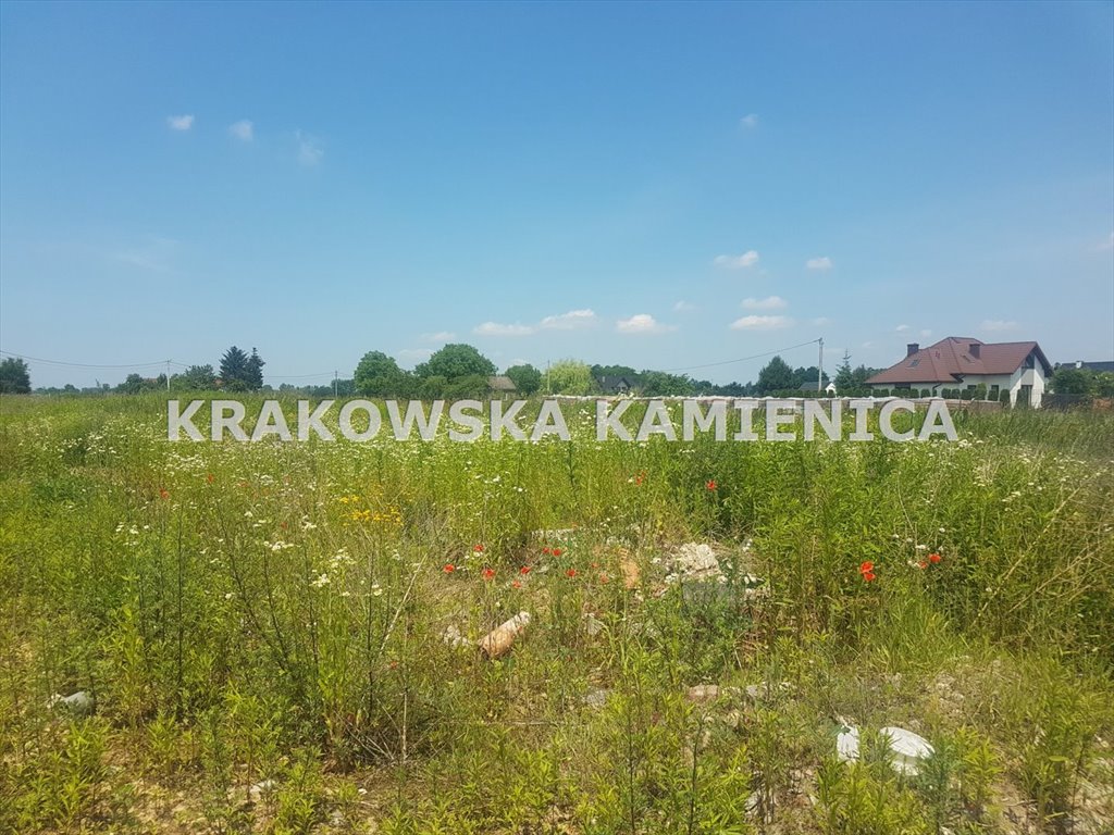 Działka budowlana na sprzedaż Kraków, Nowa Huta, Igołomska  1 100m2 Foto 2