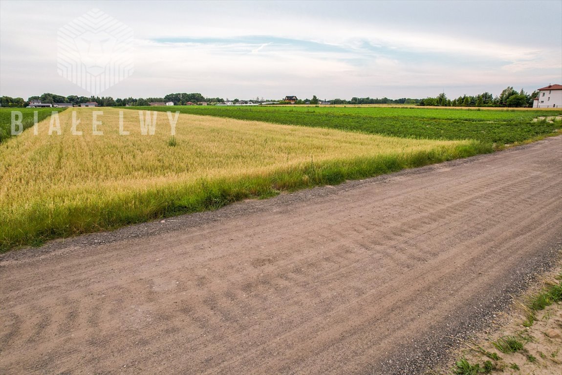 Działka przemysłowo-handlowa na sprzedaż Łady, Grudzi  4 157m2 Foto 9