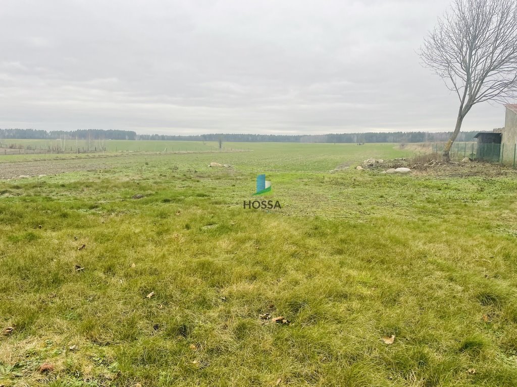 Działka budowlana na sprzedaż Piotrowice  1 800m2 Foto 3