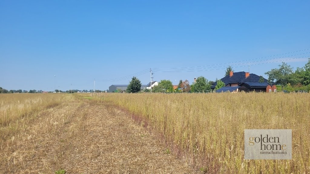 Działka budowlana na sprzedaż Drużyna, Widokowa  807m2 Foto 1