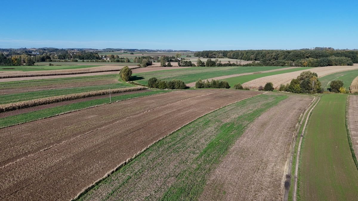 Działka rolna na sprzedaż Książnice, Książnice  13 700m2 Foto 8