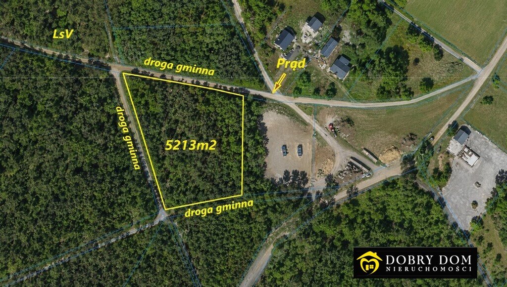 Działka leśna 5213 m² z dostępem do drogi i prądu Zasady  5 213m2 Foto 1