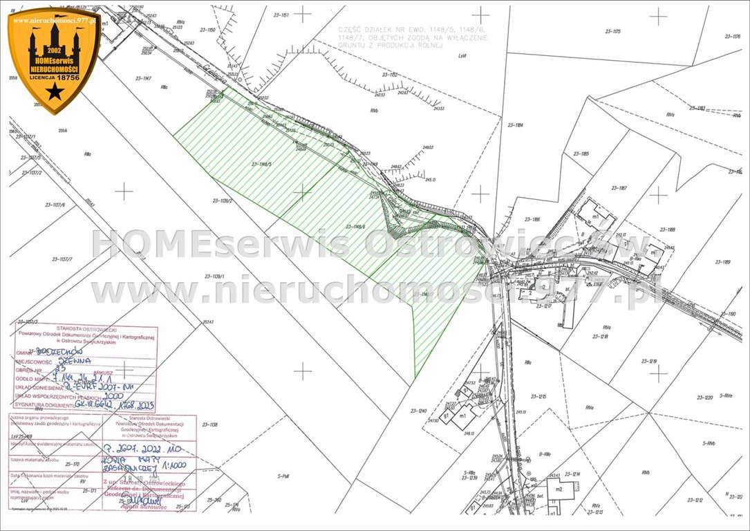 Działka rolna na sprzedaż Szewna  4 009m2 Foto 6