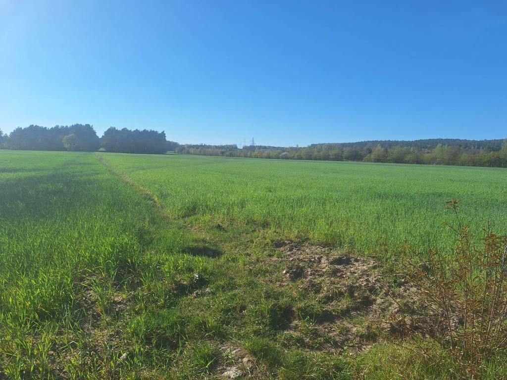 Działki 1000 m² pod dom w Serocku - zapraszam Serock, Współczesna  1 000m2 Foto 1