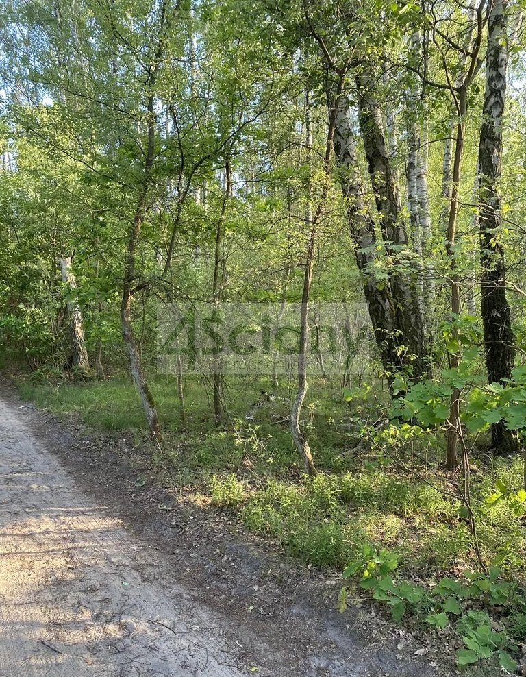 Działka 2605 m² z MPZP, media, las (blisko Grodziska) Marynin  2 605m2 Foto 1