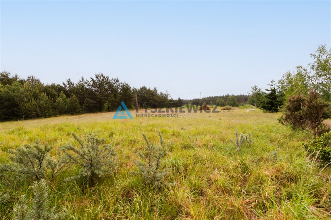 Działka budowlana na sprzedaż Nowa Kiszewa  3 001m2 Foto 9