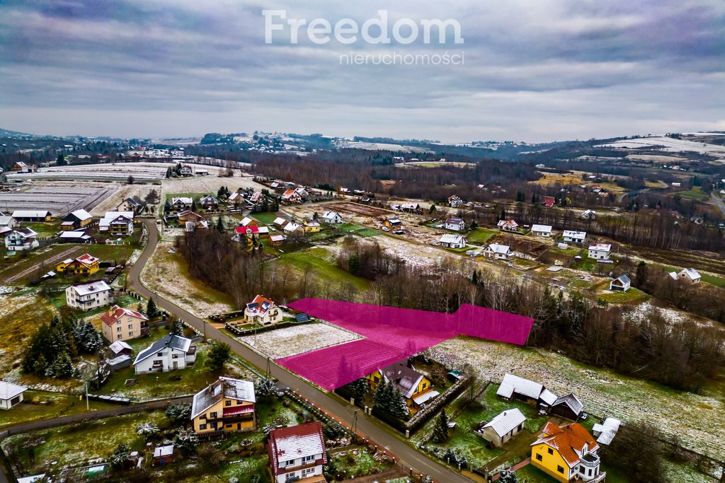 Działka budowlana na sprzedaż Dąbrówka  2 980m2 Foto 4