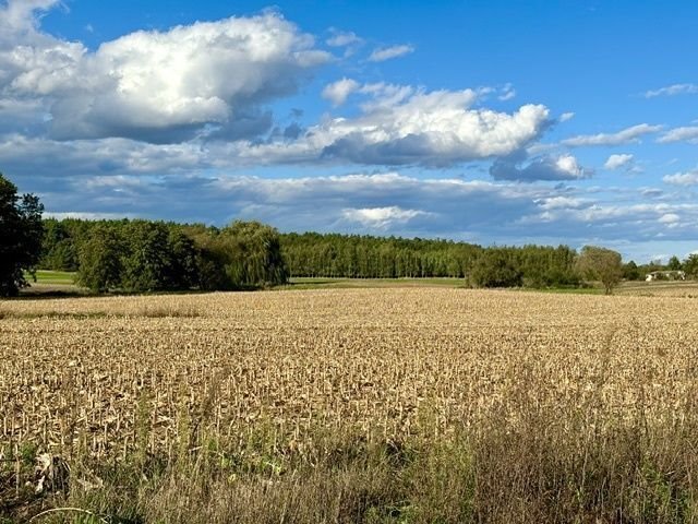 Działka budowlana na sprzedaż Kunowo, Słoneczna  1 018m2 Foto 14