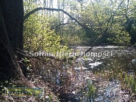 Działka budowlana na sprzedaż Warszawa, Wilanów, Prętowa 1 316m2 Foto 1 Działka budowlana na sprzedaż Warszawa, Wilanów, Prętowa 1 316m2 Foto 1