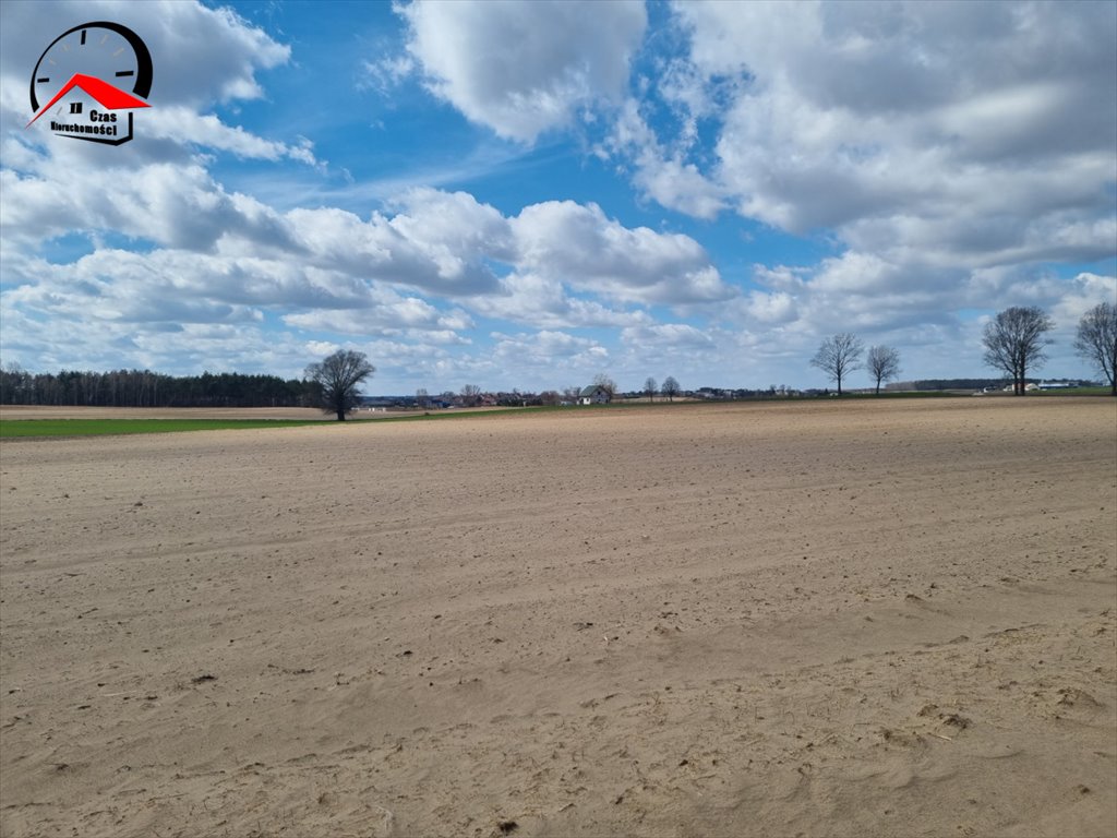 Działka gospodarstwo rolne na sprzedaż Barcin-Wieś  19 500m2 Foto 4