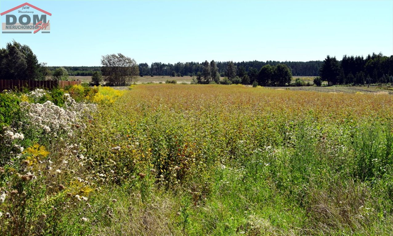 Działka inna na sprzedaż Wierzchowo, Długa  6 996m2 Foto 9