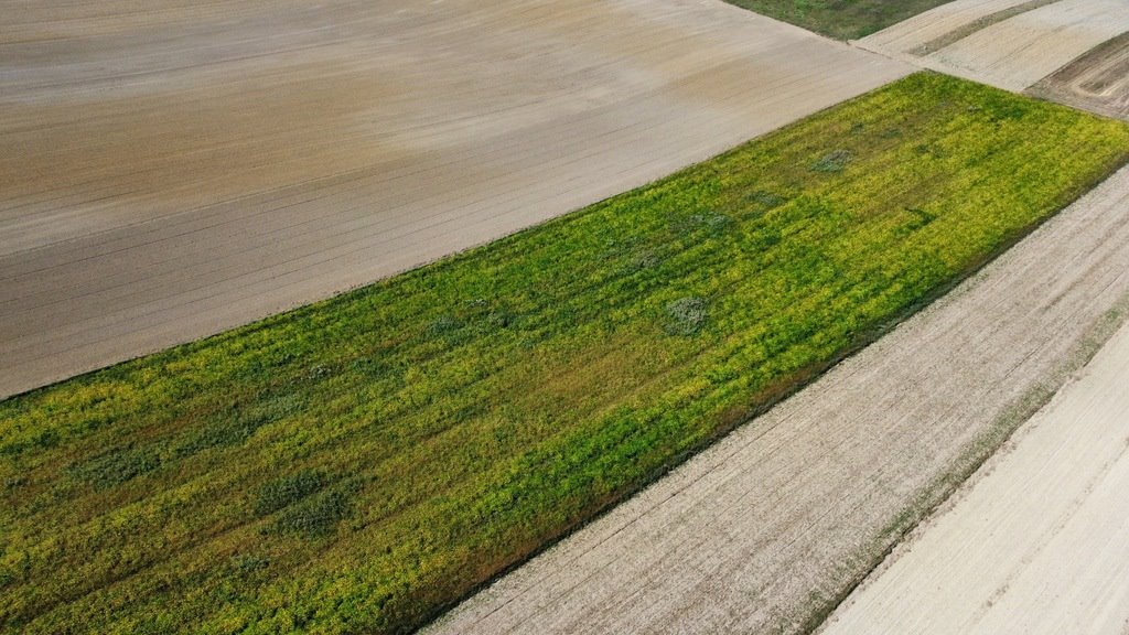 Działka rolna na sprzedaż Będzienica  9 200m2 Foto 1