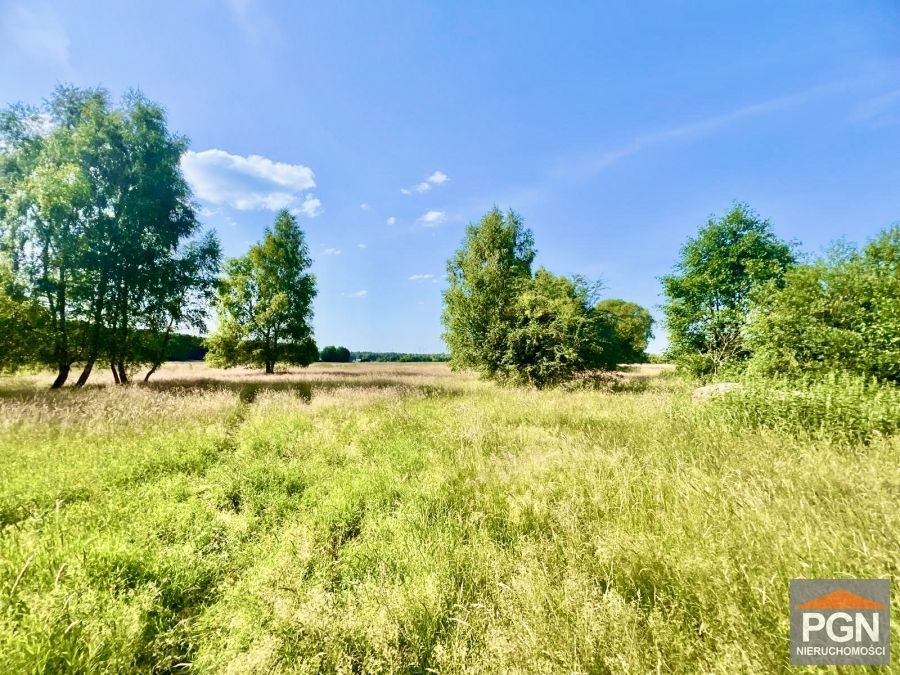 Działka 11 000 m² z podziałem na 12 działek - zapraszam POBIEROWO OKOLICA  11 000m2 Foto 1