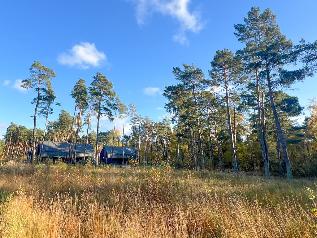 Działka budowlana na sprzedaż Dziwnów, Daglezji  1 261m2 Foto 4