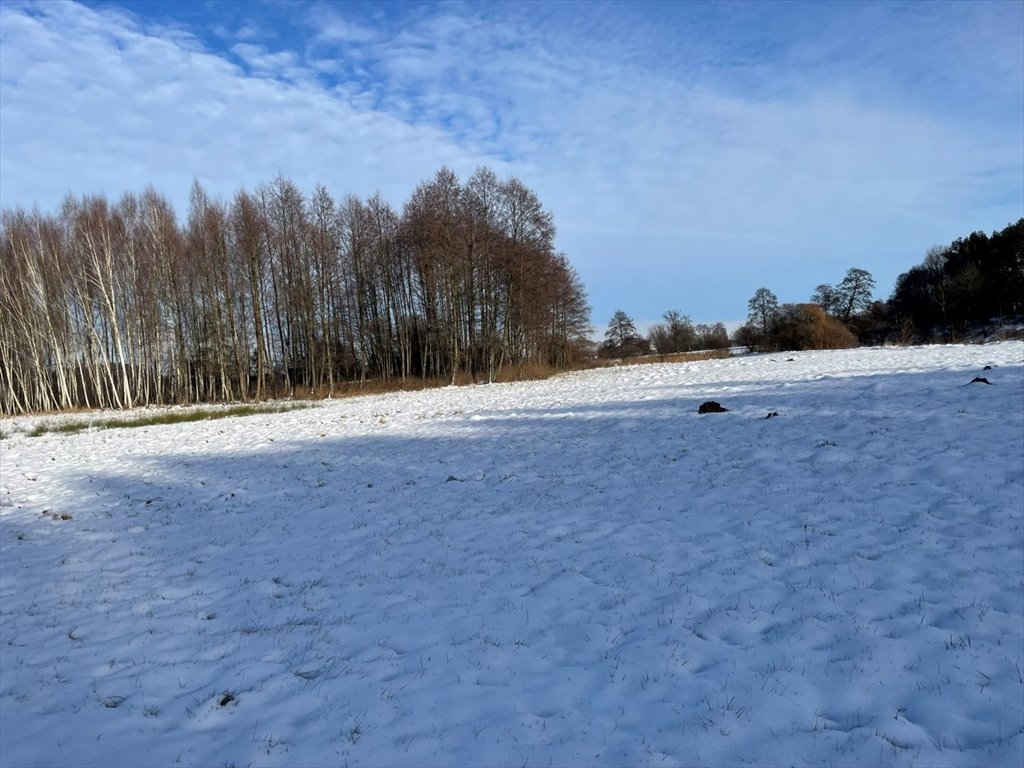 Działka leśna na sprzedaż Kowalewko, Szyjki  800m2 Foto 3