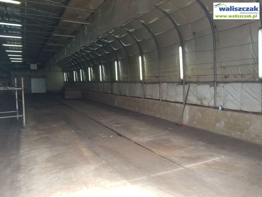 Lokal użytkowy na wynajem Piotrków Trybunalski  360m2 Foto 2