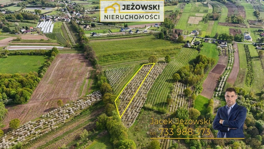 Działka budowlana na sprzedaż Kazimierz Dolny, Jeziorszczyzna  5 144m2 Foto 7