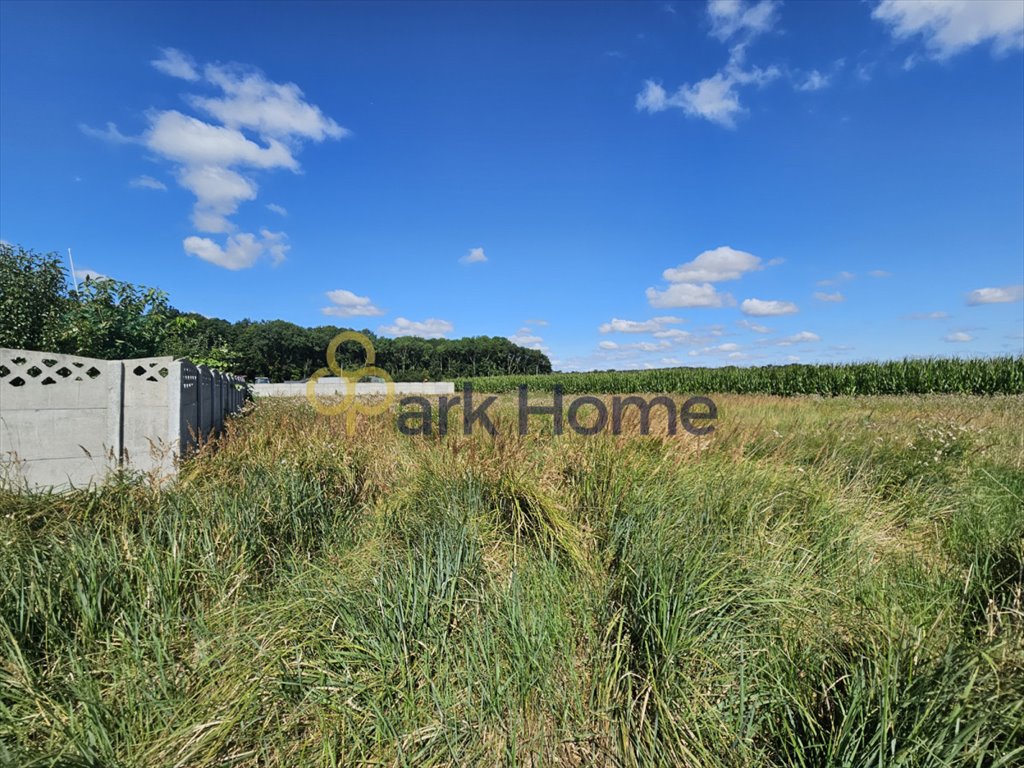 Działka budowlana na sprzedaż Bonikowo  696m2 Foto 3