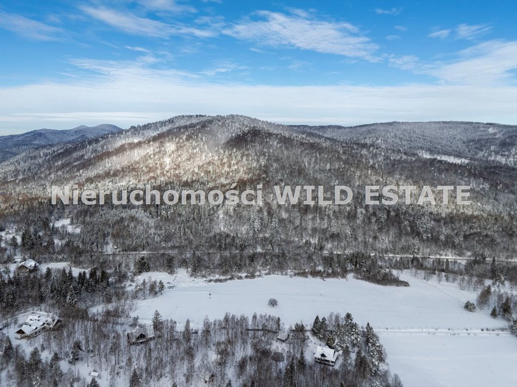 Działka budowlana na sprzedaż Cisna, Strzebowiska  25 232m2 Foto 2