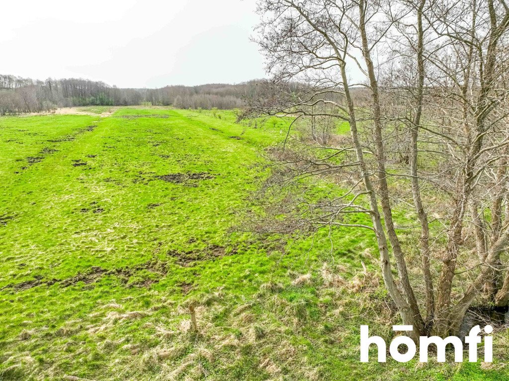 Działka budowlana na sprzedaż Sasino  23 500m2 Foto 14