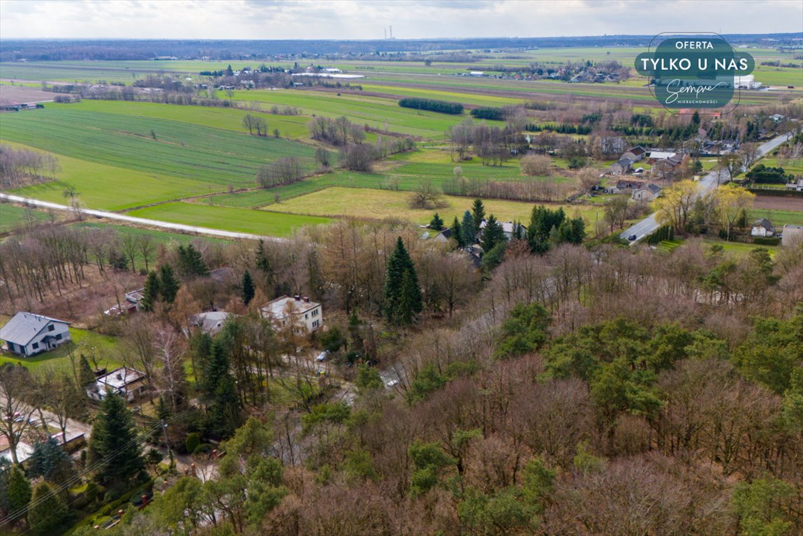 Działka budowlana na sprzedaż Paprotnia  12 600m2 Foto 6