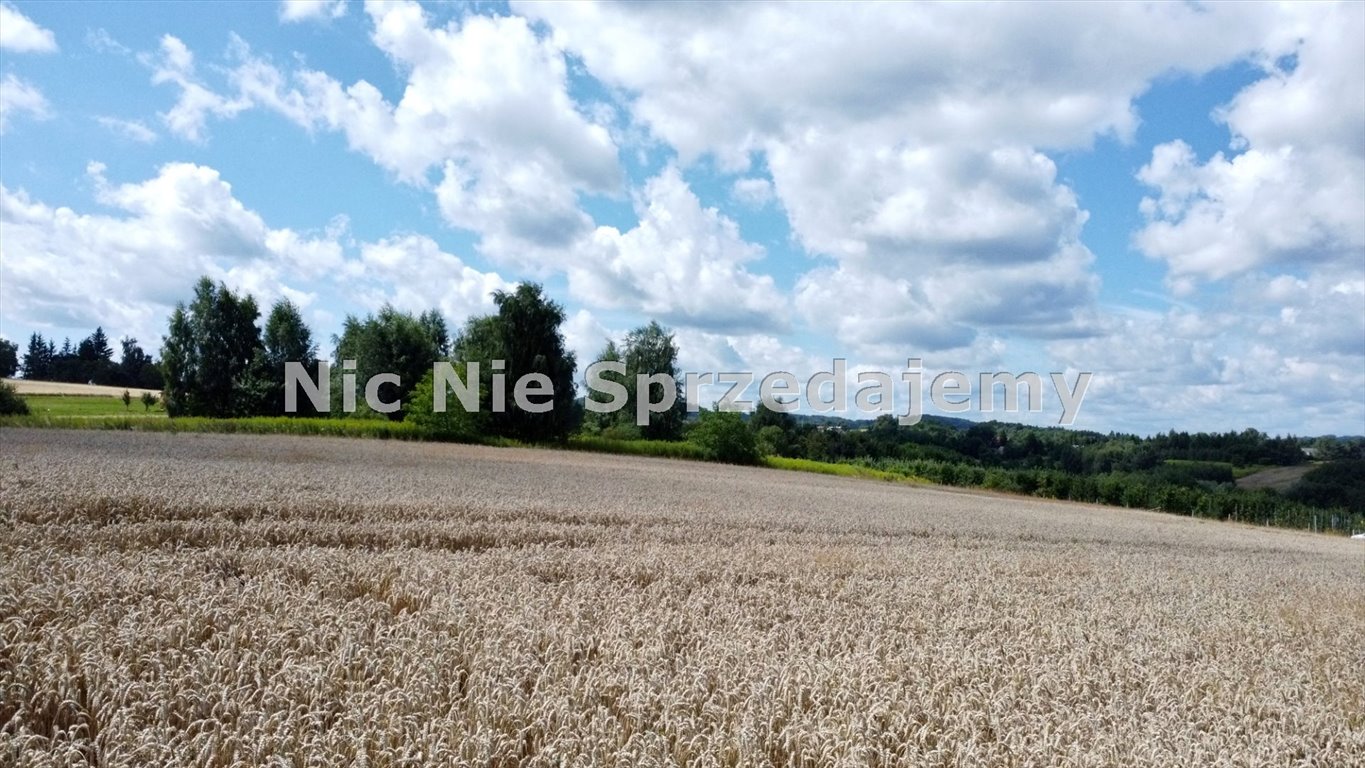 Działka budowlana na sprzedaż Dębno, Sufczyn, Szkolna  2 400m2 Foto 3