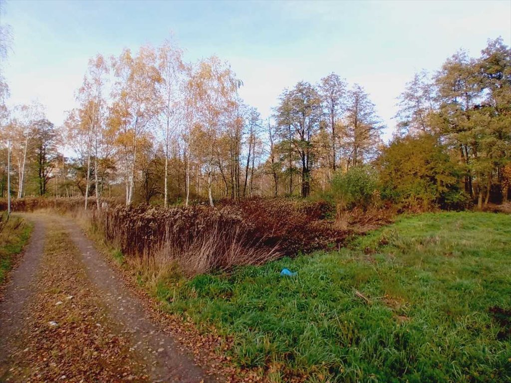 Działka budowlana na sprzedaż Zajączków, Zajączków  1 622m2 Foto 2