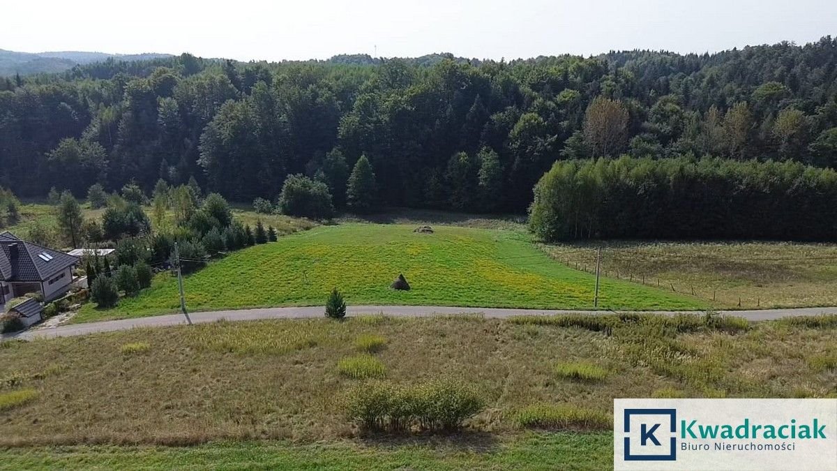 Działka budowlana na sprzedaż Kamienica Górna  5 800m2 Foto 3