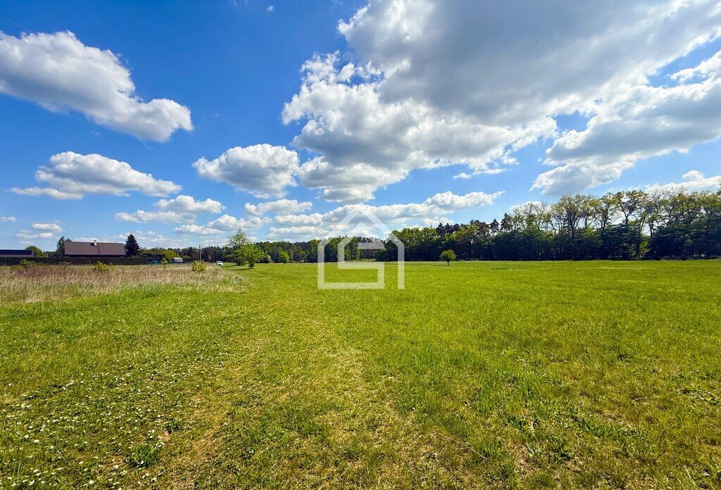 Działka inna na sprzedaż Wola Batorska  6 000m2 Foto 1