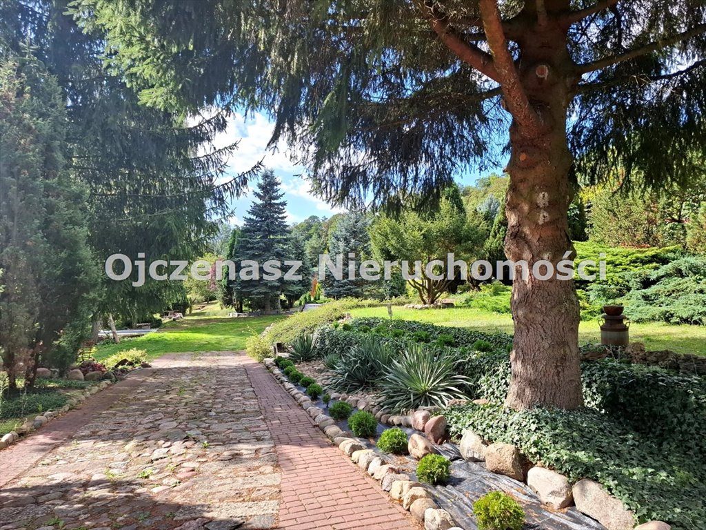 Działka inna na sprzedaż Trzęsacz  10 067m2 Foto 1