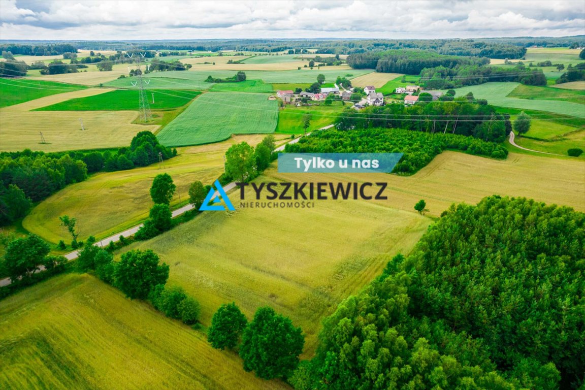 Działka budowlana na sprzedaż Dąbrówka  7 800m2 Foto 1